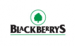 Blackberrys Coupons, Offers and Deals