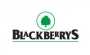 Blackberrys Offers, Deal, Coupon and Promo Codes