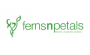 FernsNPetals FNP Offers, Deal, Coupon and Promo Codes