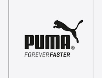 myntra puma bags 60 off